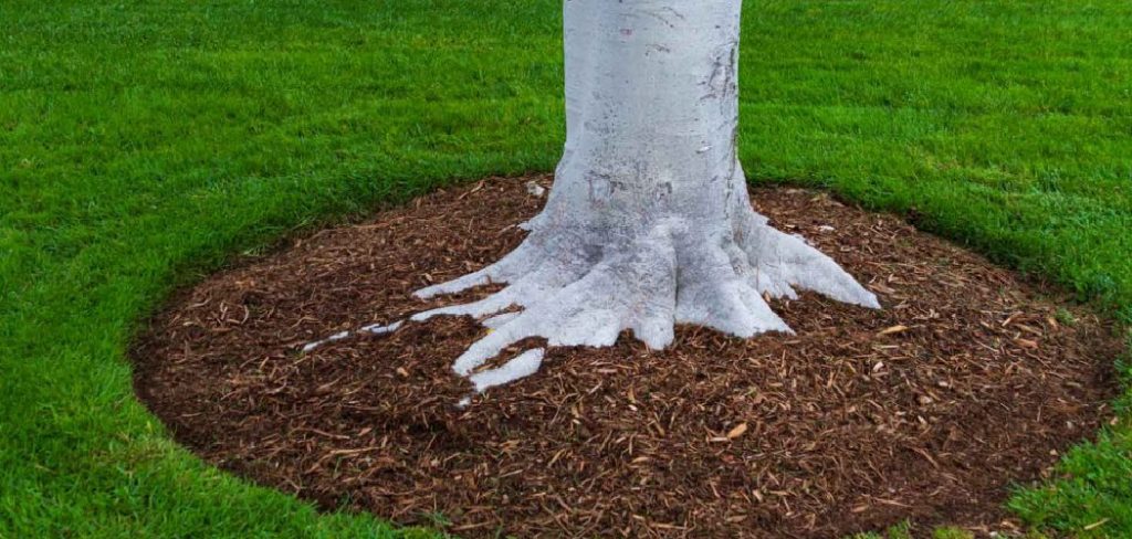 How to Get Rid of Tree Saplings in Lawn
