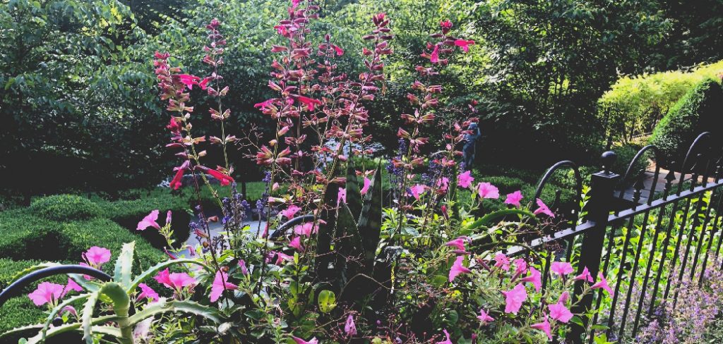 How to Improve Drainage for Orchids