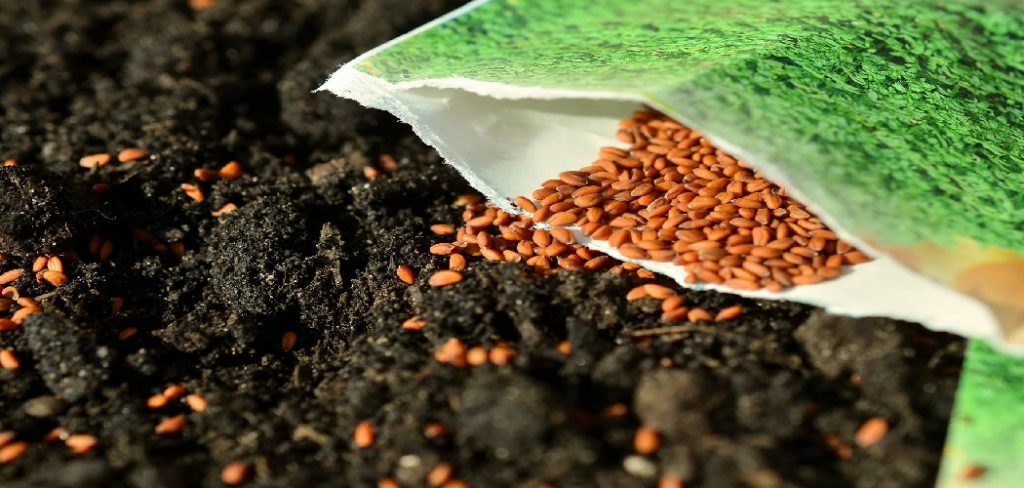 How to Plant Lawn Grass Seeds
