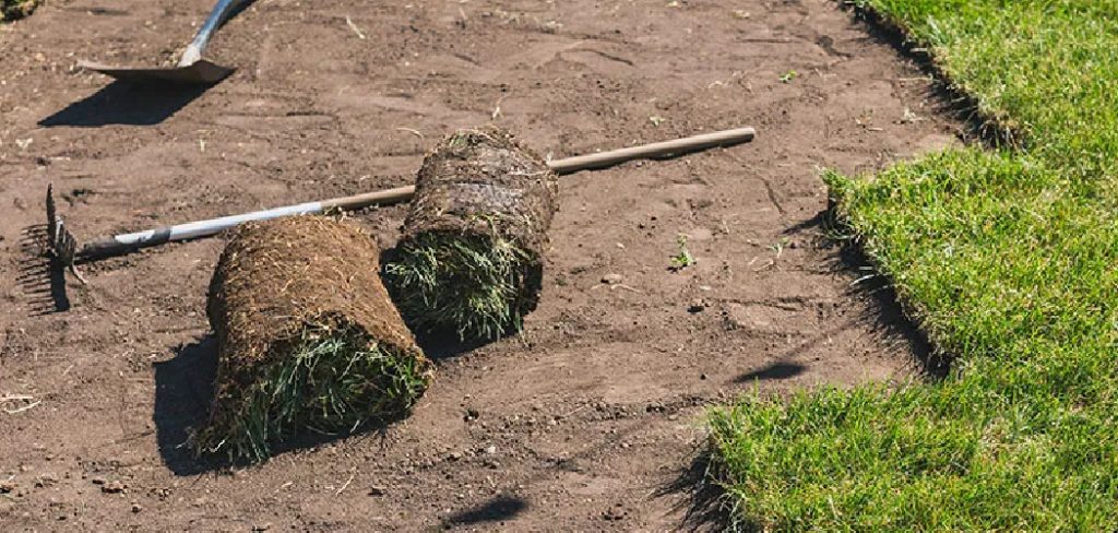 How to Remove Grass with a Shovel