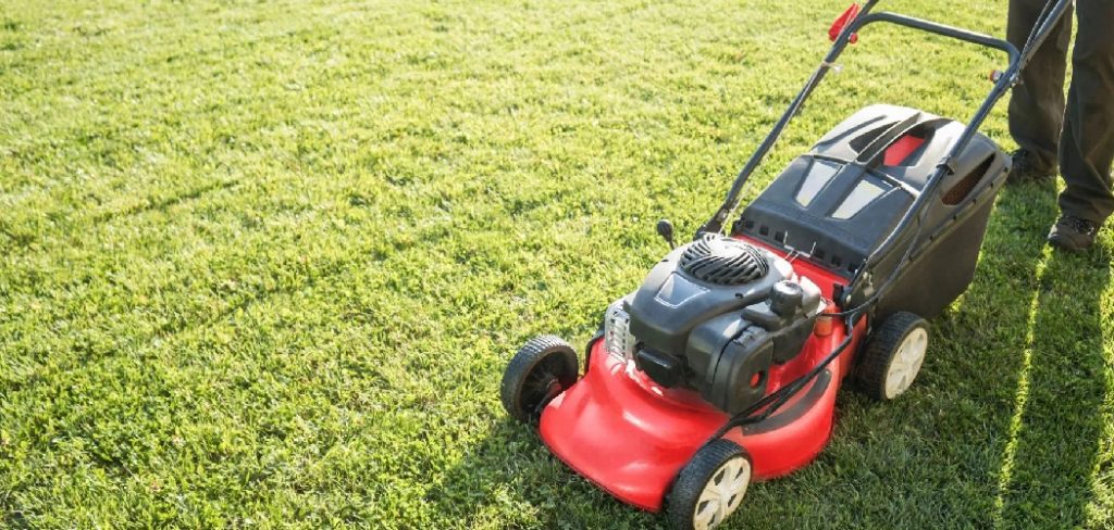 How to Repair Lawn Patches