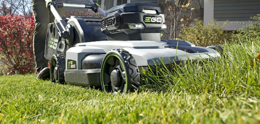 How to Stop Grass Growing in Garden
