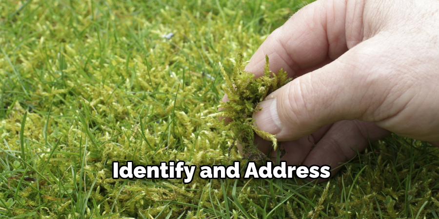 Identify and Address