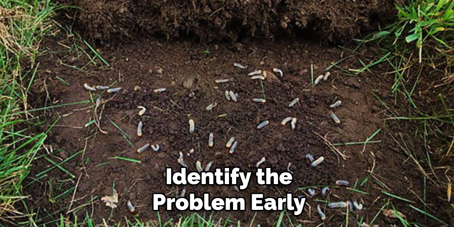 Identify the Problem Early