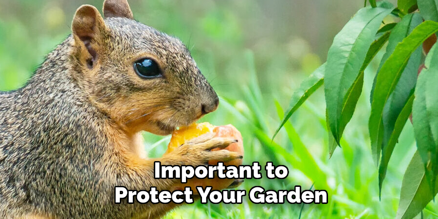 Important to
Protect Your Garden