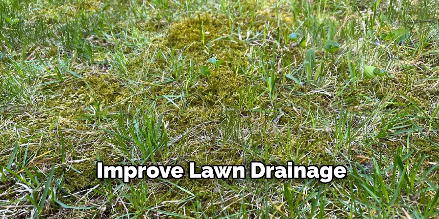 Improve Lawn Drainage