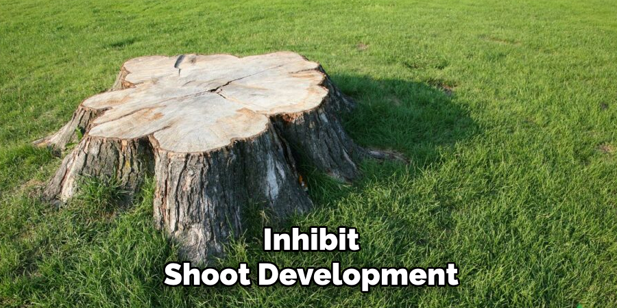 inhibit shoot development