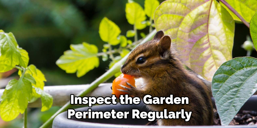 Inspect the Garden
Perimeter Regularly