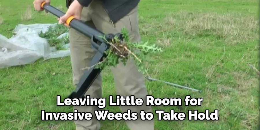 Leaving Little Room for
Invasive Weeds to Take Hold