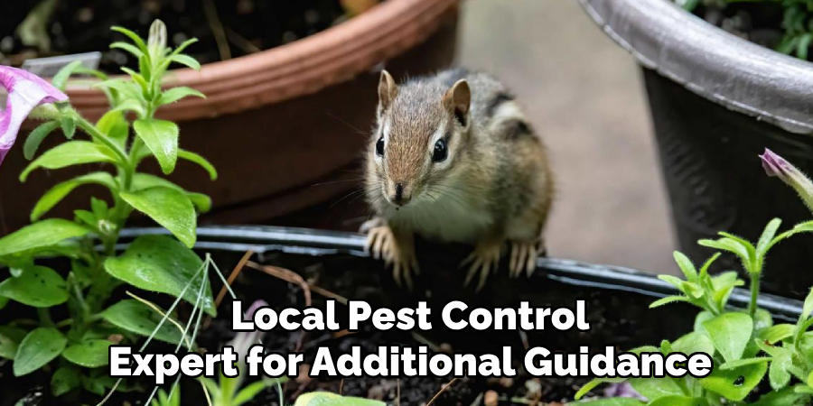 Local Pest Control
Expert for Additional Guidance