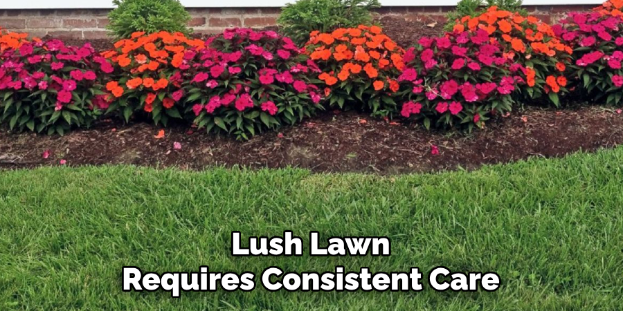 Lush Lawn
Requires Consistent Care