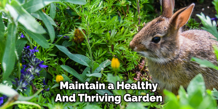 Maintain a Healthy
And Thriving Garden