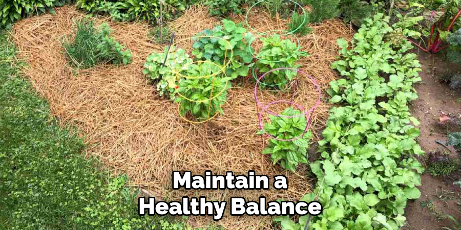 Maintain a
Healthy Balance