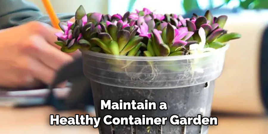 Maintain a
Healthy Container Garden