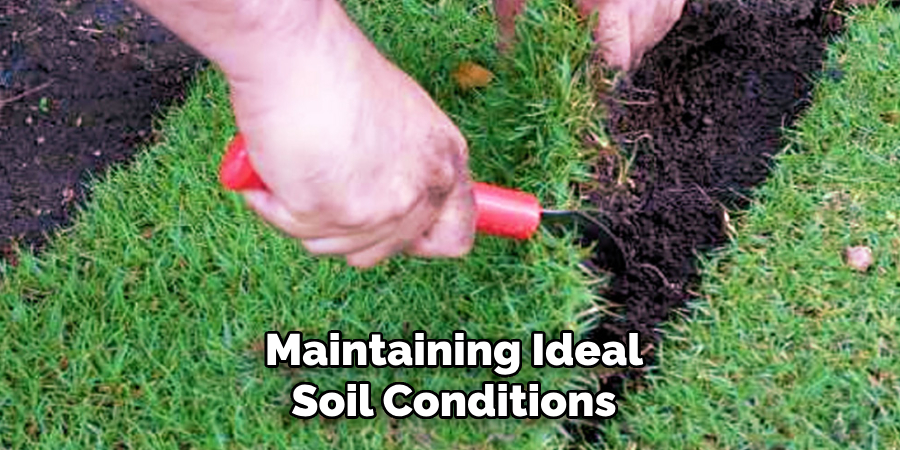 Maintaining Ideal
Soil Conditions