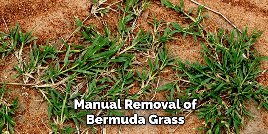 Manual Removal of Bermuda Grass