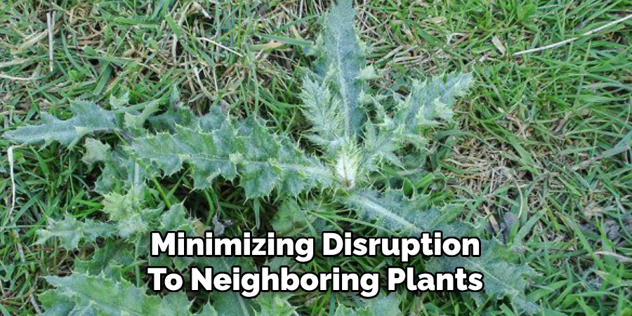 Minimizing Disruption
To Neighboring Plants