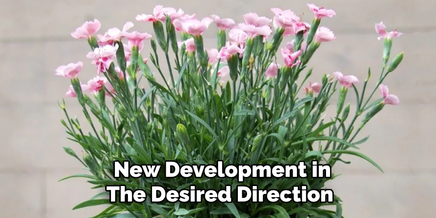 New Development in
The Desired Direction