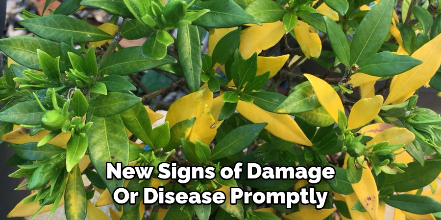 New Signs of Damage
Or Disease Promptly