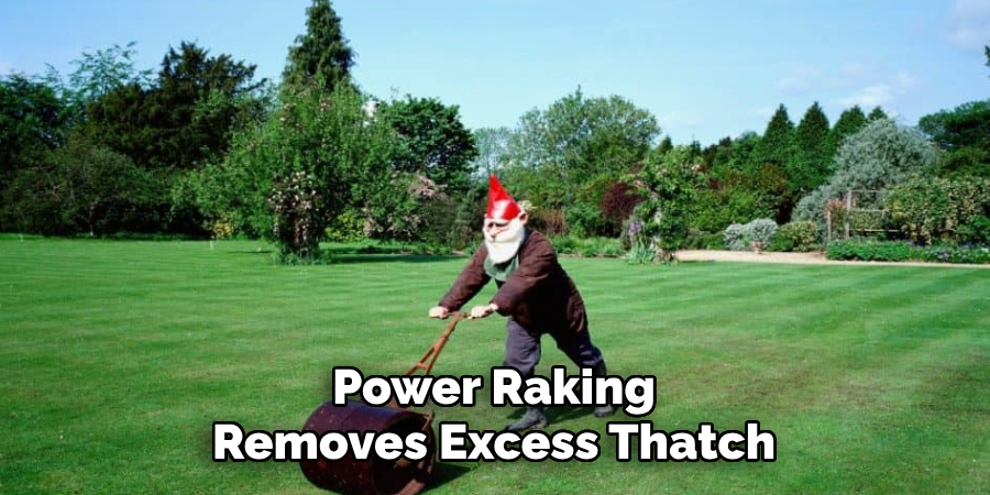Power Raking
Removes Excess Thatch