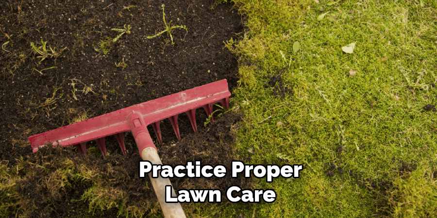 Practice Proper Lawn Care