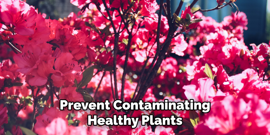 Prevent Contaminating
Healthy Plants