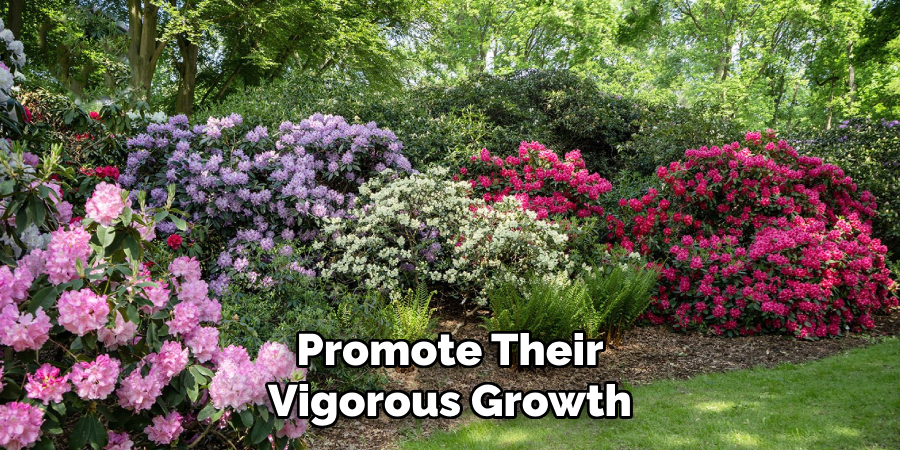 Promote Their
Vigorous Growth