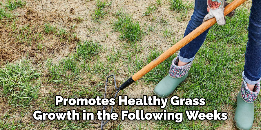 Promotes Healthy Grass
Growth in the Following Weeks