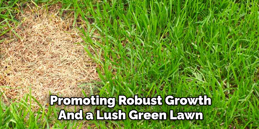 Promoting Robust Growth
And a Lush, Green Lawn