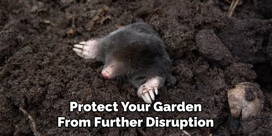Protect Your Garden
From Further Disruption
