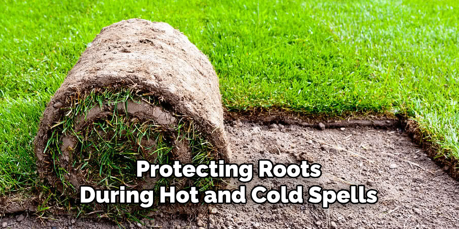 Protecting Roots
During Hot and Cold Spells