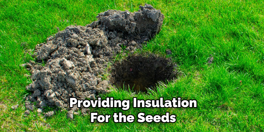 Providing Insulation
For the Seeds