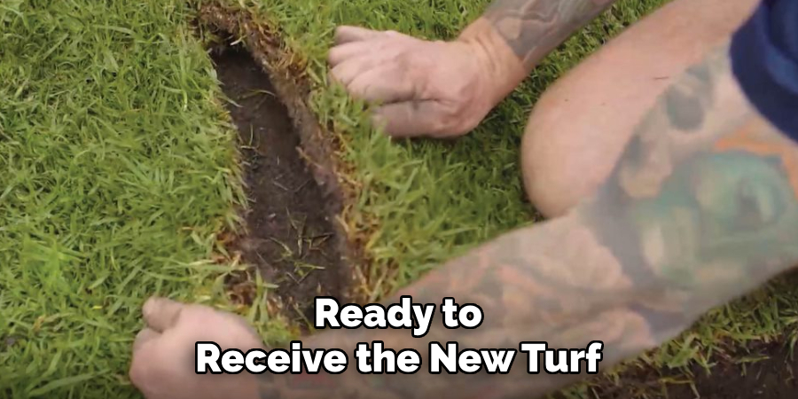 Ready to
Receive the New Turf