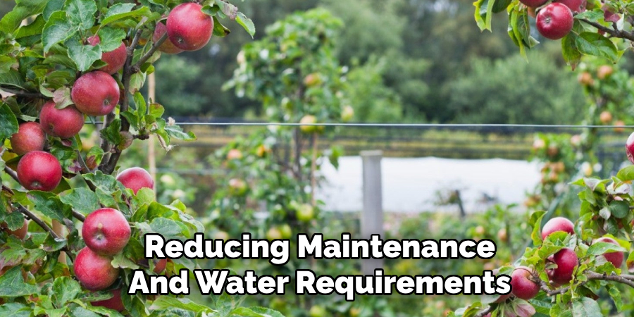 Reducing Maintenance
And Water Requirements
