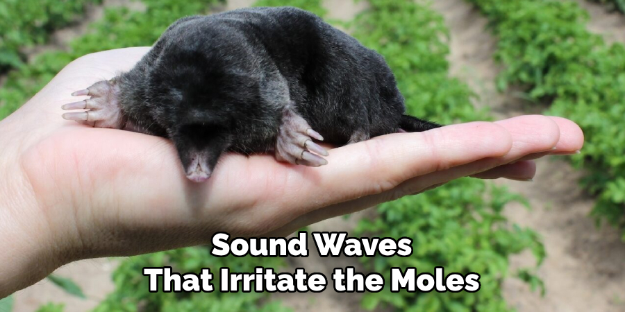 Sound Waves
That Irritate the Moles