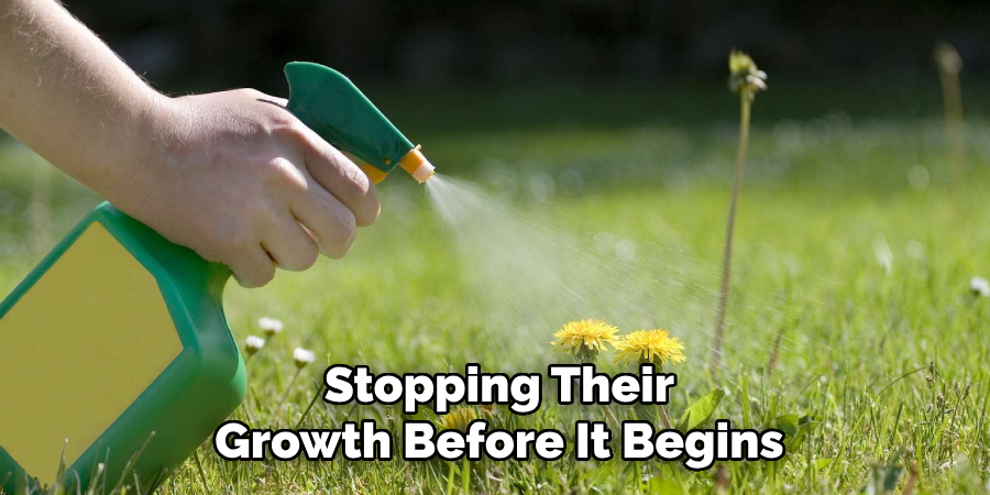 Stopping Their
Growth Before It Begins