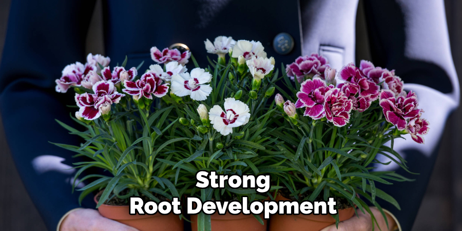 Strong
Root Development