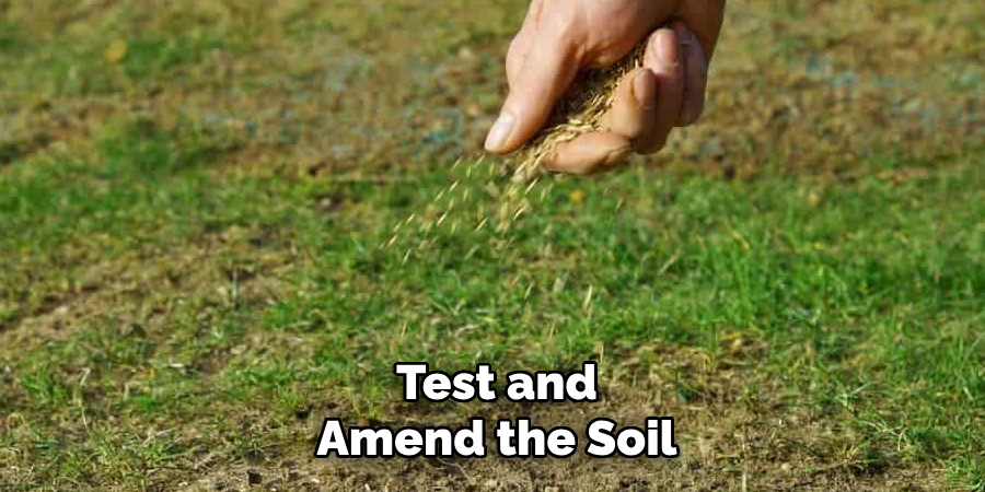 Test and Amend the Soil