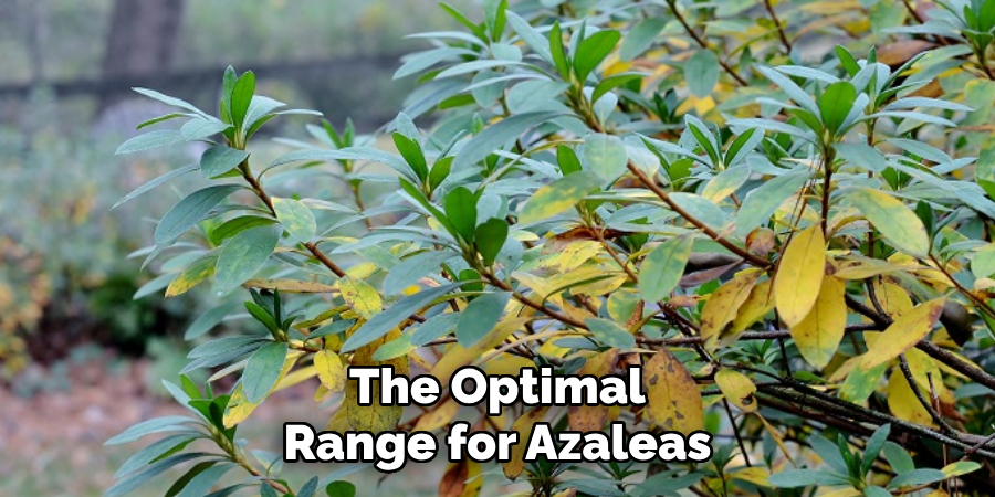 The Optimal
Range for Azaleas