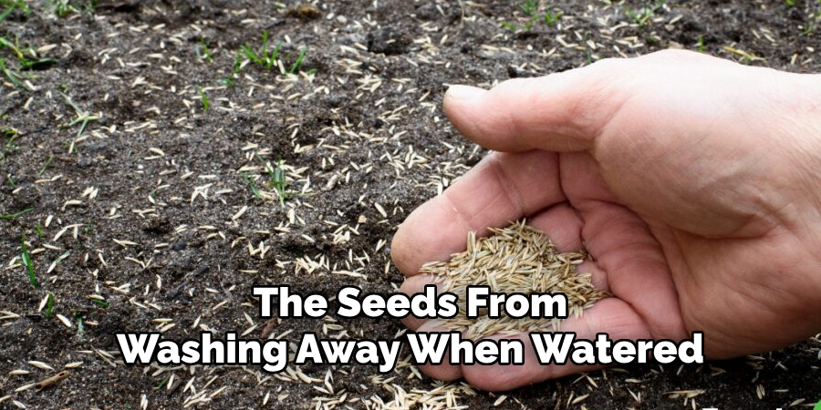 The Seeds From
Washing Away When Watered