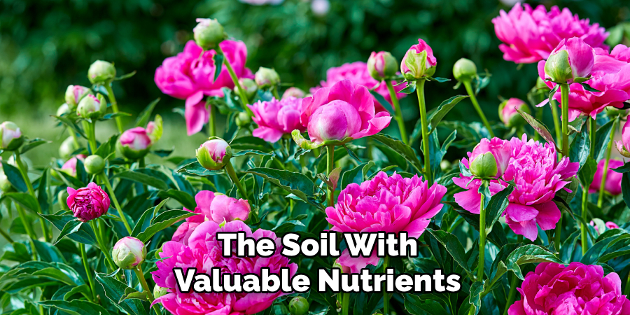 The Soil With
Valuable Nutrients