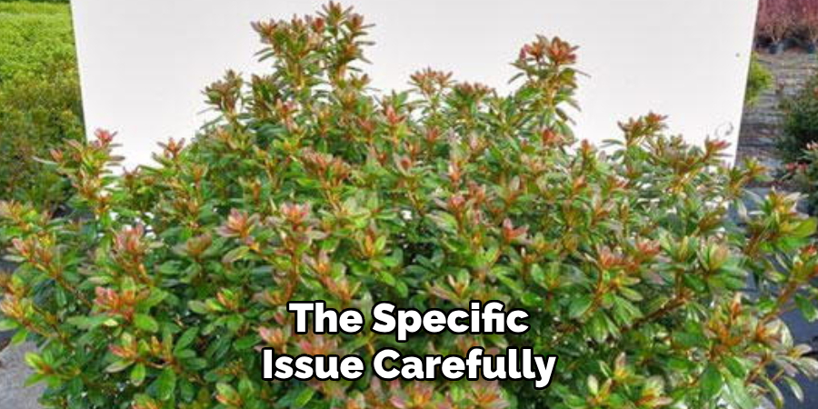 The Specific
Issue Carefully