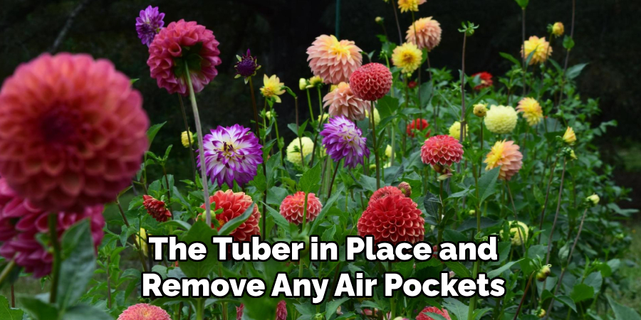 The Tuber in Place and
Remove Any Air Pockets