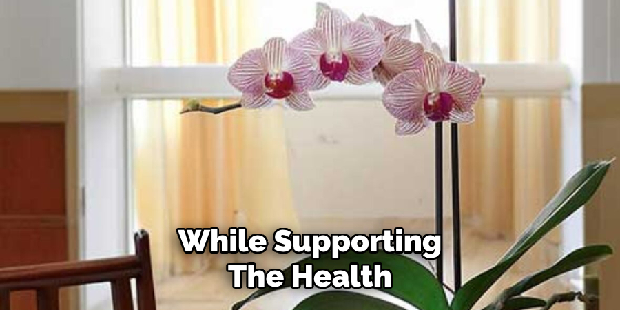 While Supporting
The Health