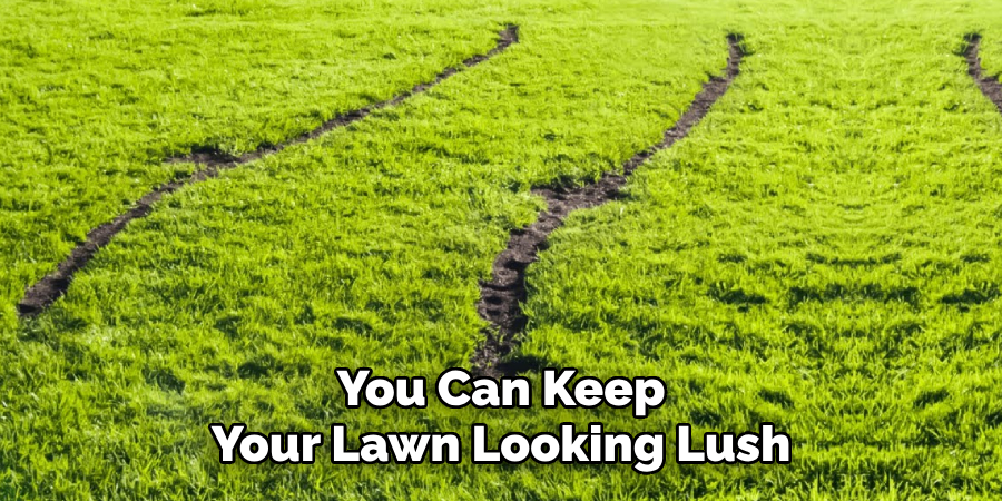 You Can Keep
Your Lawn Looking Lush