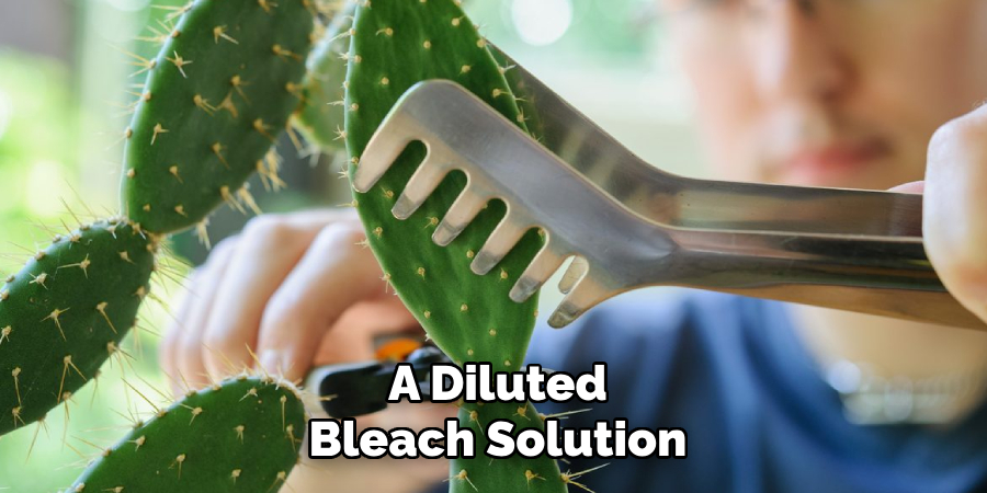 A Diluted
Bleach Solution