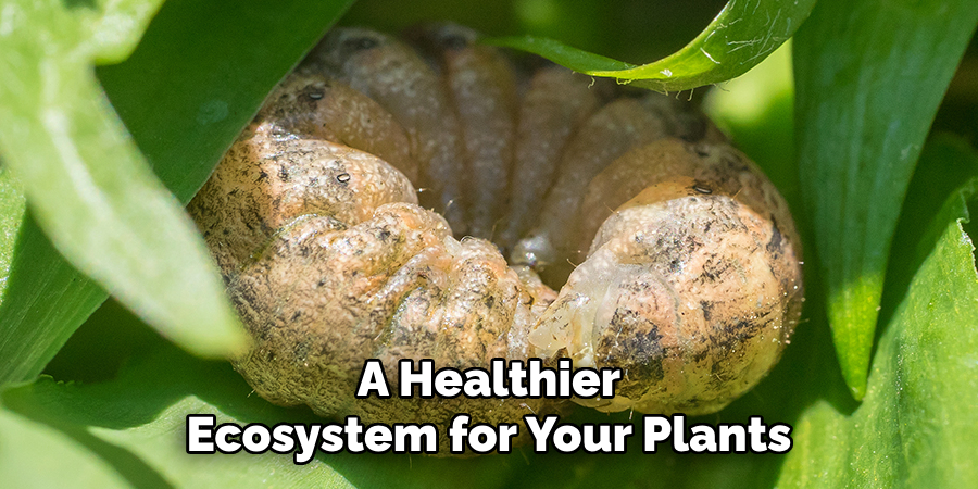 A Healthier
Ecosystem for Your Plants