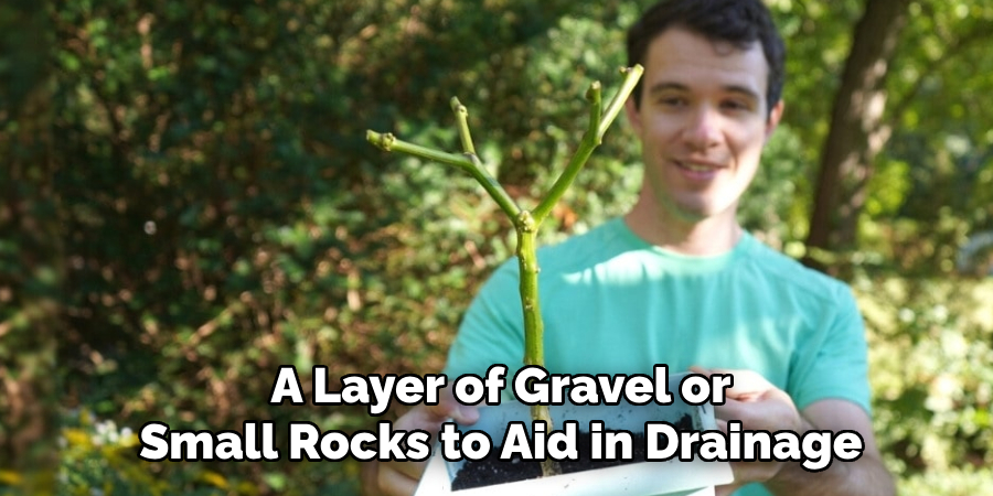 A Layer of Gravel or
Small Rocks to Aid in Drainage