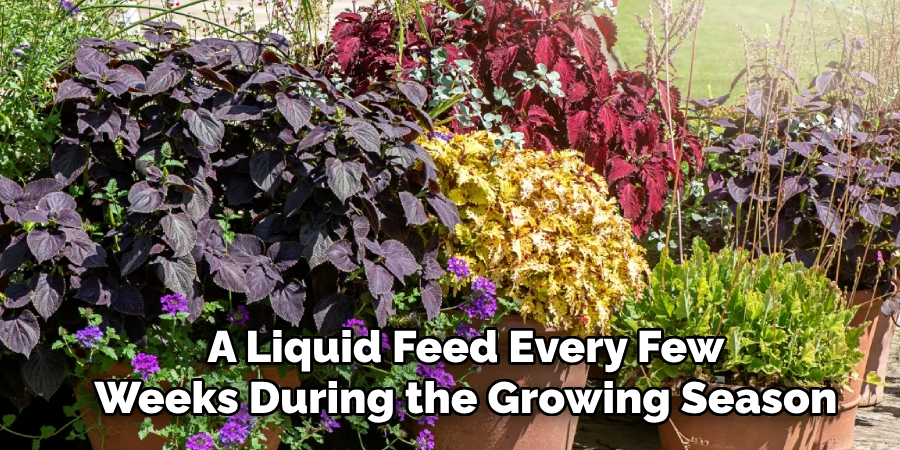 A Liquid Feed Every Few
Weeks During the Growing Season