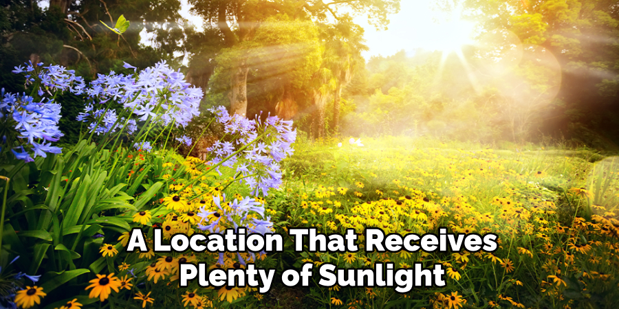 A Location That Receives
Plenty of Sunlight